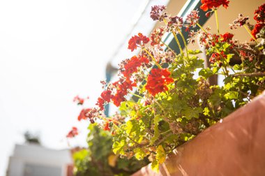 Yunanistan 'ın güzel Santorini' sinin manzaralı çekimi