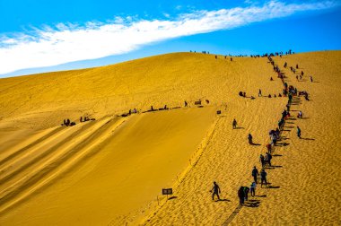 Deve kervanı Sahra Çölü, Fas 'taki kum tepelerinden geçiyor.
