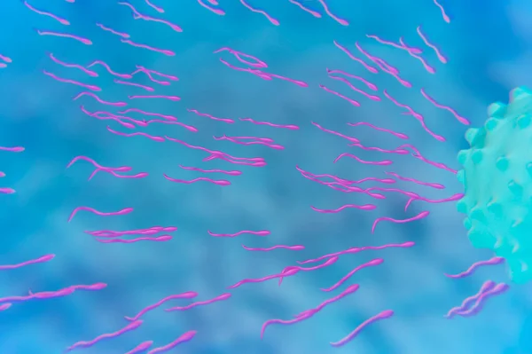 Microscopic Illustration Spermatozoids Medical Biology Concept Background — Zdjęcie stockowe