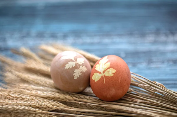 Oeufs Pâques Peints Sur Fond Bois — Photo