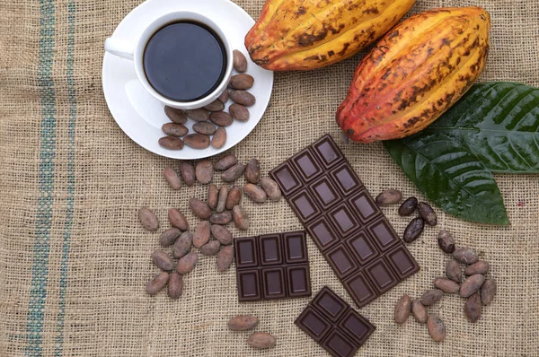 Kaffekopp Mörka Chokladkakor Och Naturliga Kakaobönor — Stockfoto