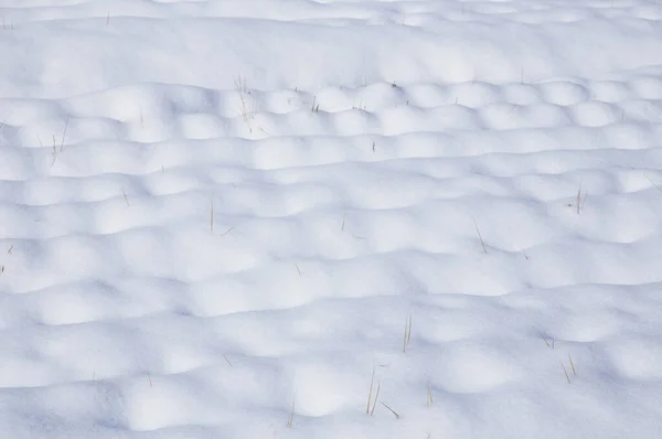 Sneeuw Bedekt Het Land — Stockfoto