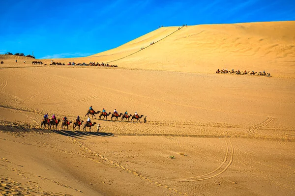 Deve kervanı Sahra Çölü, Fas 'taki kum tepelerinden geçiyor.