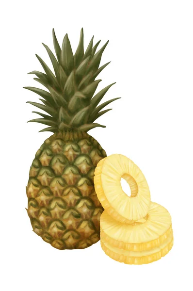 Ananas Izolované Bílém Pozadí Ilustrace — Stock fotografie