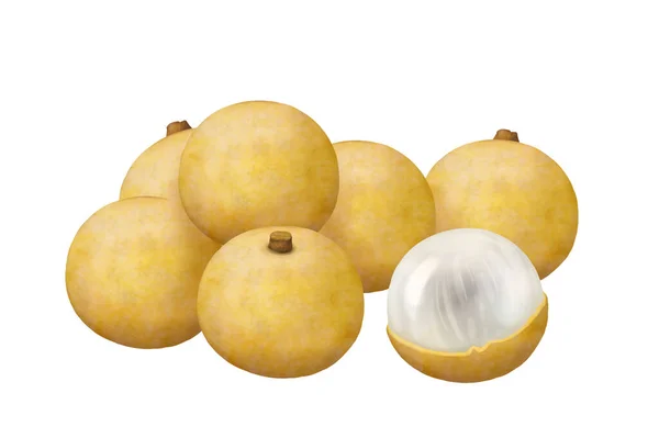 Verse Longan Vruchten Geïsoleerd Witte Achtergrond — Stockfoto