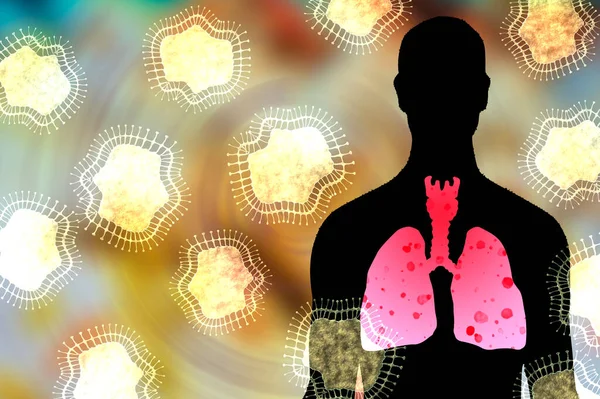 Human Lungs Anatomy Illustration — Stock Photo, Image