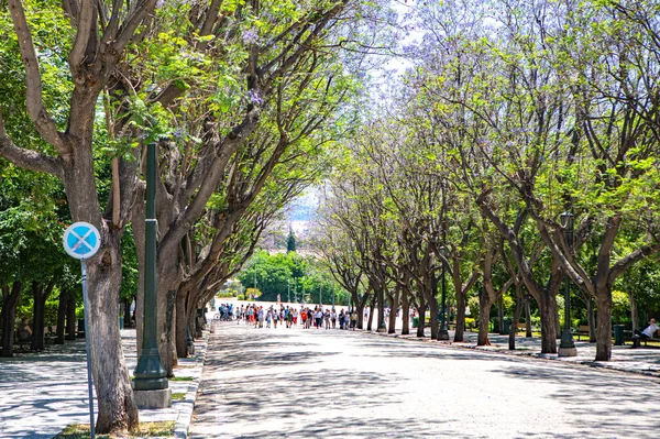 Parkın güzel manzarası