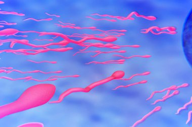 Tıbbi veya biyoloji konsepti için spermatozoidlerin mikroskobik 3d çizimi