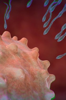 Tıbbi veya biyoloji konsepti için spermatozoidlerin mikroskobik 3d çizimi