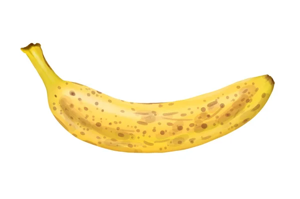 Banana Isolated White Background Illustration — Zdjęcie stockowe