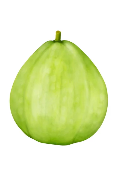 Green Fig Isolated White Background Illustration — Fotografia de Stock