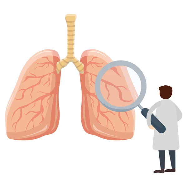 Médico Con Lupa Pulmones Aislados Blanco —  Fotos de Stock