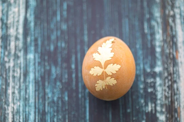 Розфарбоване Великоднє Яйце Дерев Яному Фоні — стокове фото