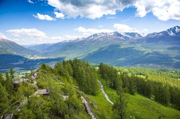 美丽的山景 绿树成荫 — 图库照片