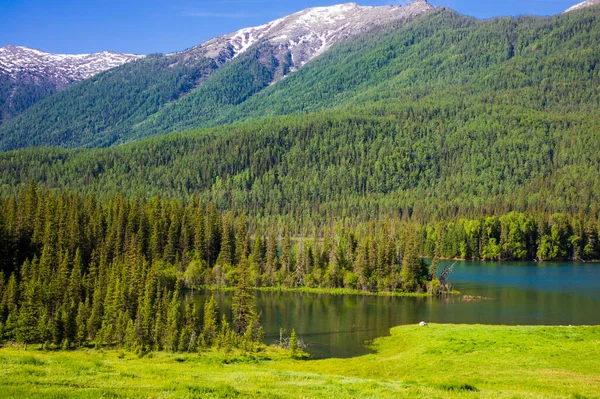 Hermoso Paisaje Con Lago Montañas Verdes —  Fotos de Stock