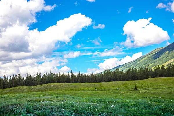 Dağları Yeşil Çimenleri Olan Güzel Bir Manzara — Stok fotoğraf