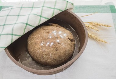 Tahıl kulaklarının yanındaki keten peçeteyle örtülmüş olarak ev yapımı ekmek için taze yapılmış hamur. Ev yapımı ekmek. Adım adım tarif.