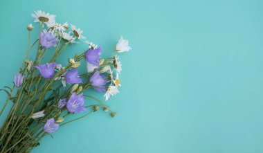 Narin kır çiçekleri. Papatya, menekşe ve beyaz çan çiçekleri mavi ya da turkuaz arkaplandadır. Yaz, bahar, Anneler Günü, 8 Mart, Paskalya, düğün konsepti. Tebrik kartı. Pankart. Boşluğu kopyala