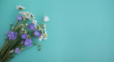 Narin kır çiçekleri. Papatya, menekşe ve beyaz çan çiçekleri mavi ya da turkuaz arkaplandadır. Yaz, bahar, Anneler Günü, 8 Mart, Paskalya, düğün konsepti. Tebrik kartı. Pankart. Boşluğu kopyala