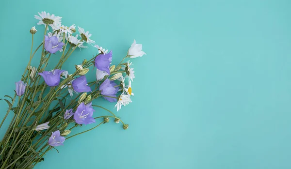 Narin kır çiçekleri. Papatya, menekşe ve beyaz çan çiçekleri mavi ya da turkuaz arkaplandadır. Yaz, bahar, Anneler Günü, 8 Mart, Paskalya, düğün konsepti. Tebrik kartı. Pankart. Boşluğu kopyala