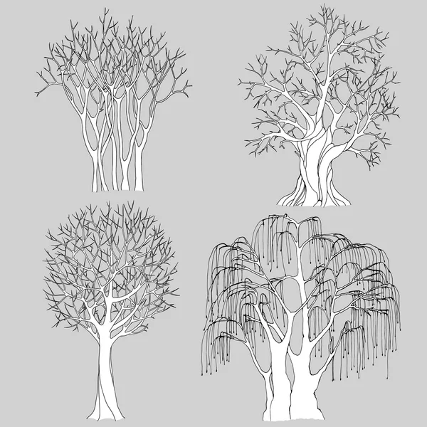 A set of four bare trees drawn with black outlines, with detailed branches and twigs. Vector illustration for coloring pages or other. Stock Vector