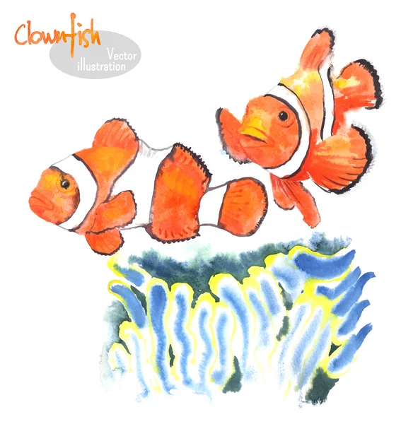Hand-painted watercolor illustration of seafishes - Clownfish or anemonefish - swimming near actinia (sea anemones). Vectorized watercolor. — Stock vektor