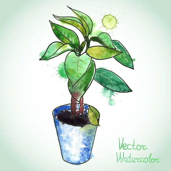 Dos plantas de semillero en una olla, pimiento u otra planta joven. Acuarela ilustración vectorizada . — Vector de stock