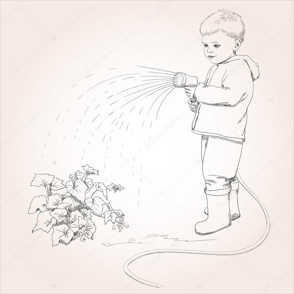 Boy with garden hose watering vegetable