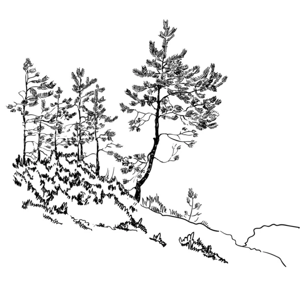 Esboço de pinheiros na colina de pedra — Vetor de Stock