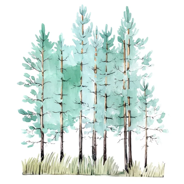 Aquarel van pijnboom hout — Stockvector