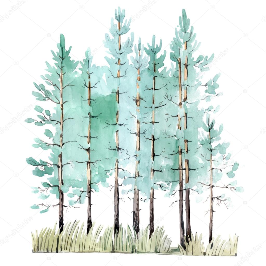 Watercolor Painting Of Pine-Tree Wood Stock Vector Image By ©Irina_Oksenoyd #62964163
