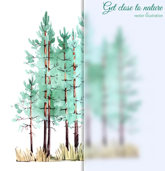 Forest with blurred glass banner — Stock Vector