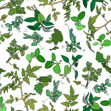 bitkiler ile Seamless Modeli