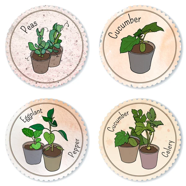 Labels with potted seedlings — Stock Vector