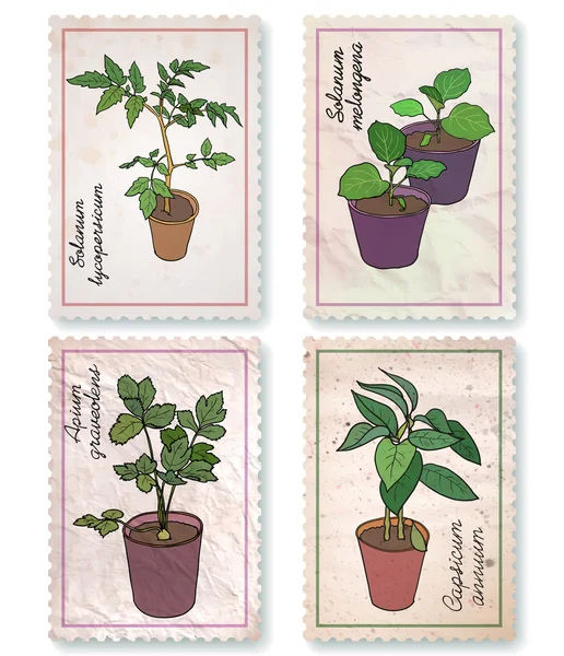 Set of labels: potted seedlings — Stock Vector