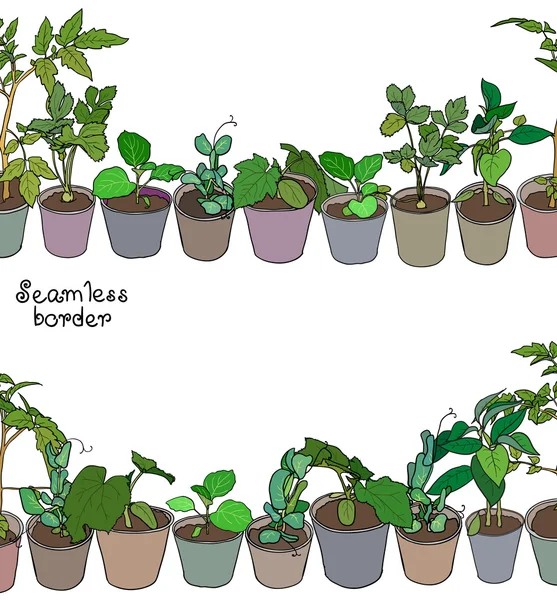 Sazenice a hrnkové rostliny — Stockový vektor