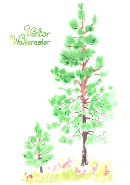 Aquarel jonge pines — Stockvector