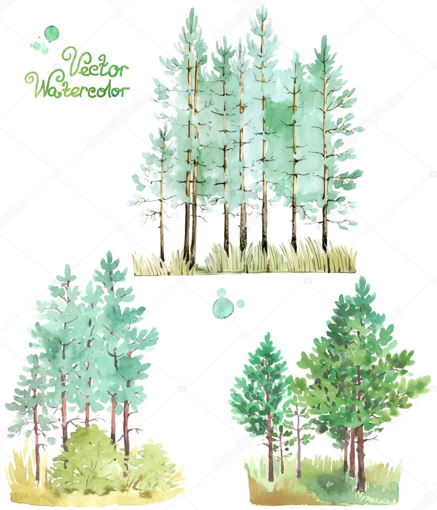 watercolor green pine trees