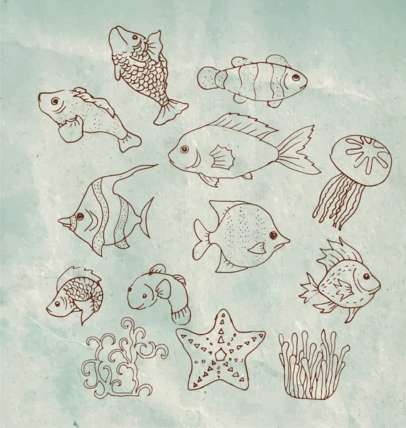Algler, mercan, denizanası ve deniz yıldızı — Stok Vektör