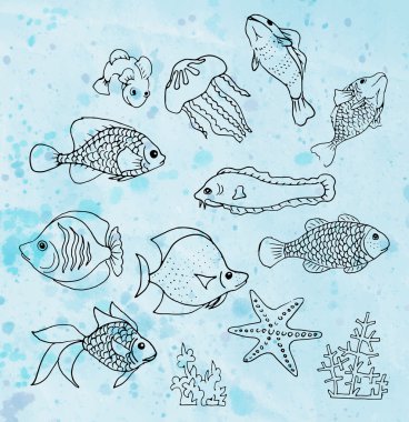 algler, mercanlar, Deniz anası ve deniz yıldızı