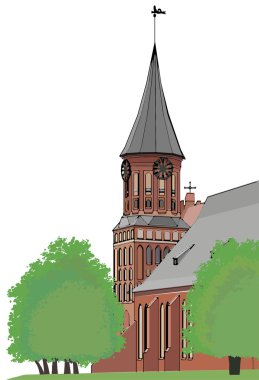 kaliningrad katedral kilise