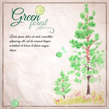 young pine-tree forest clipart