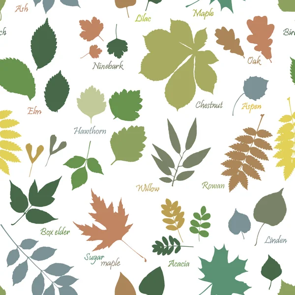 Multicolor leaves silhouettes — Stock Vector