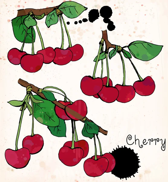 Red Cherry bobule — Stockový vektor