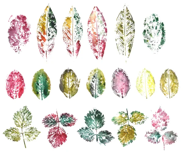 Ensemble d'impressions couleur de différentes feuilles — Image vectorielle