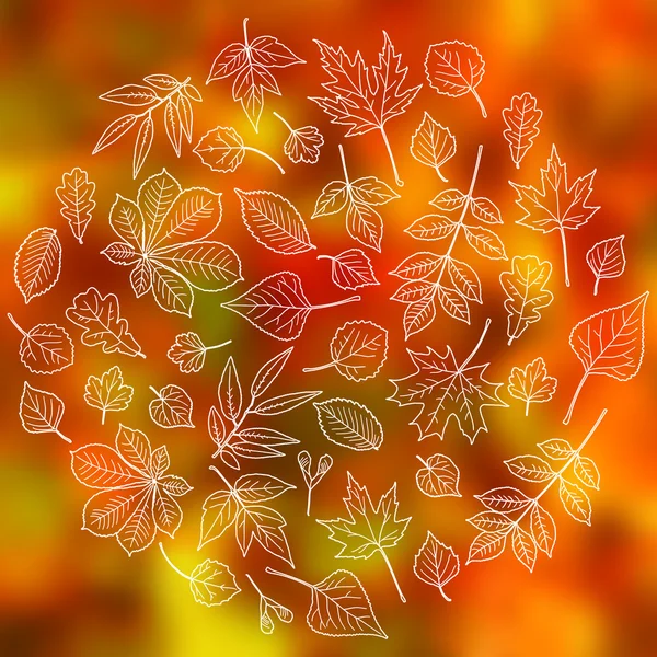 明るい秋のデザイン — ストックベクタ