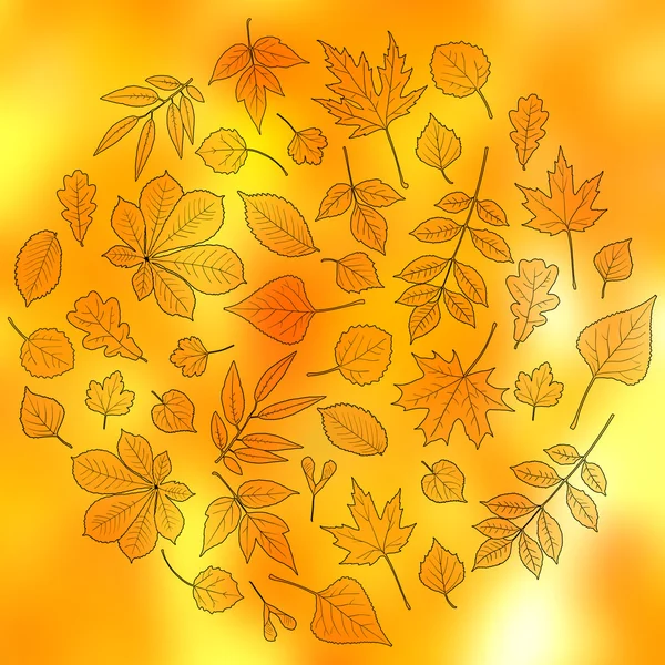 Bright autumn design — Stock Vector