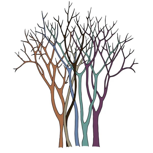 Grupo de árboles delgados con ramitas detalladas — Vector de stock