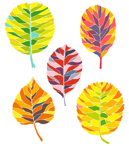 Set of abstract bright autumn leaves — Stock Vector