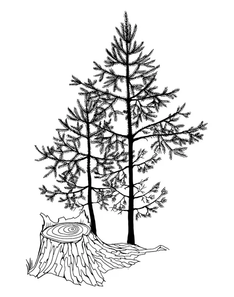 Petits sapins dans une forêt — Image vectorielle